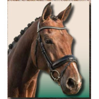 MILA Especial Caballos